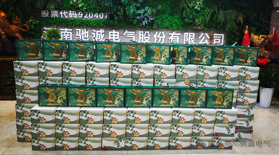 果香致端阳 善意汇星光|驰诚电气向善而行 守护童心成长