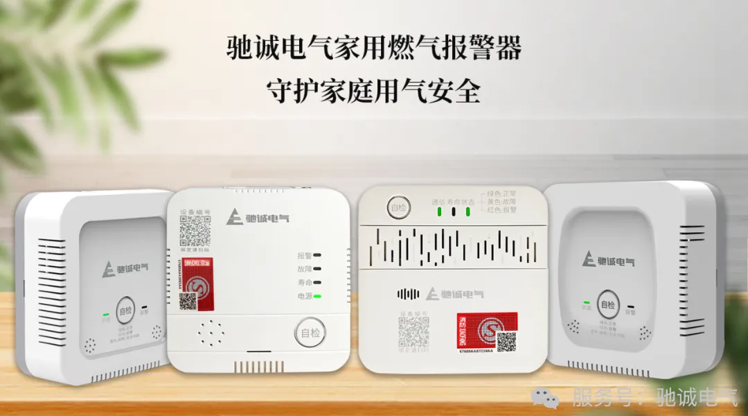 选购避坑指南：如何挑对家里的“燃气安全哨兵”？